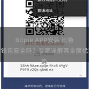 Bitpie APP安装 比特派钱包安全吗？专家详解其全面优势