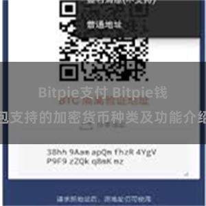 Bitpie支付 Bitpie钱包支持的加密货币种类及功能介绍