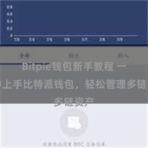 Bitpie钱包新手教程 一分钟上手比特派钱包，轻松管理多链资产