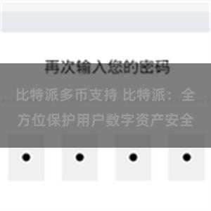 比特派多币支持 比特派：全方位保护用户数字资产安全