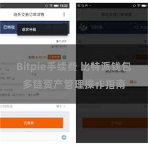 Bitpie手续费 比特派钱包多链资产管理操作指南