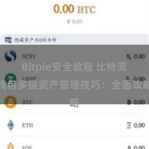 Bitpie安全教程 比特派钱包多链资产管理技巧：全面攻略