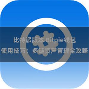 比特派版本 Bitpie钱包使用技巧：多链资产管理全攻略